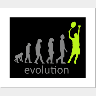 Tennis Evolution Posters and Art